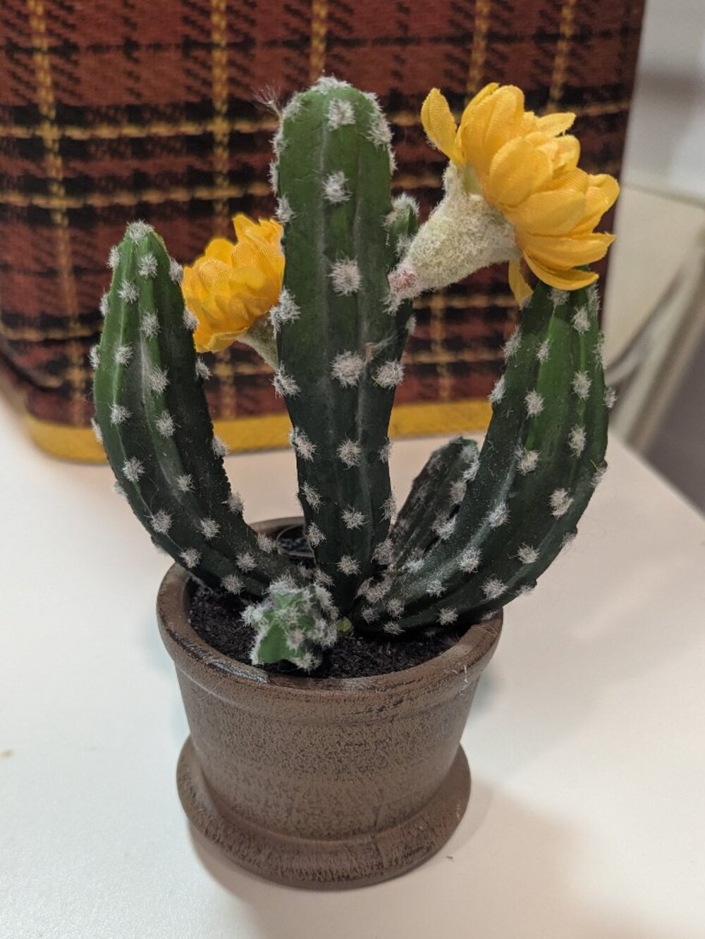Fake Potted Flowering Cactus